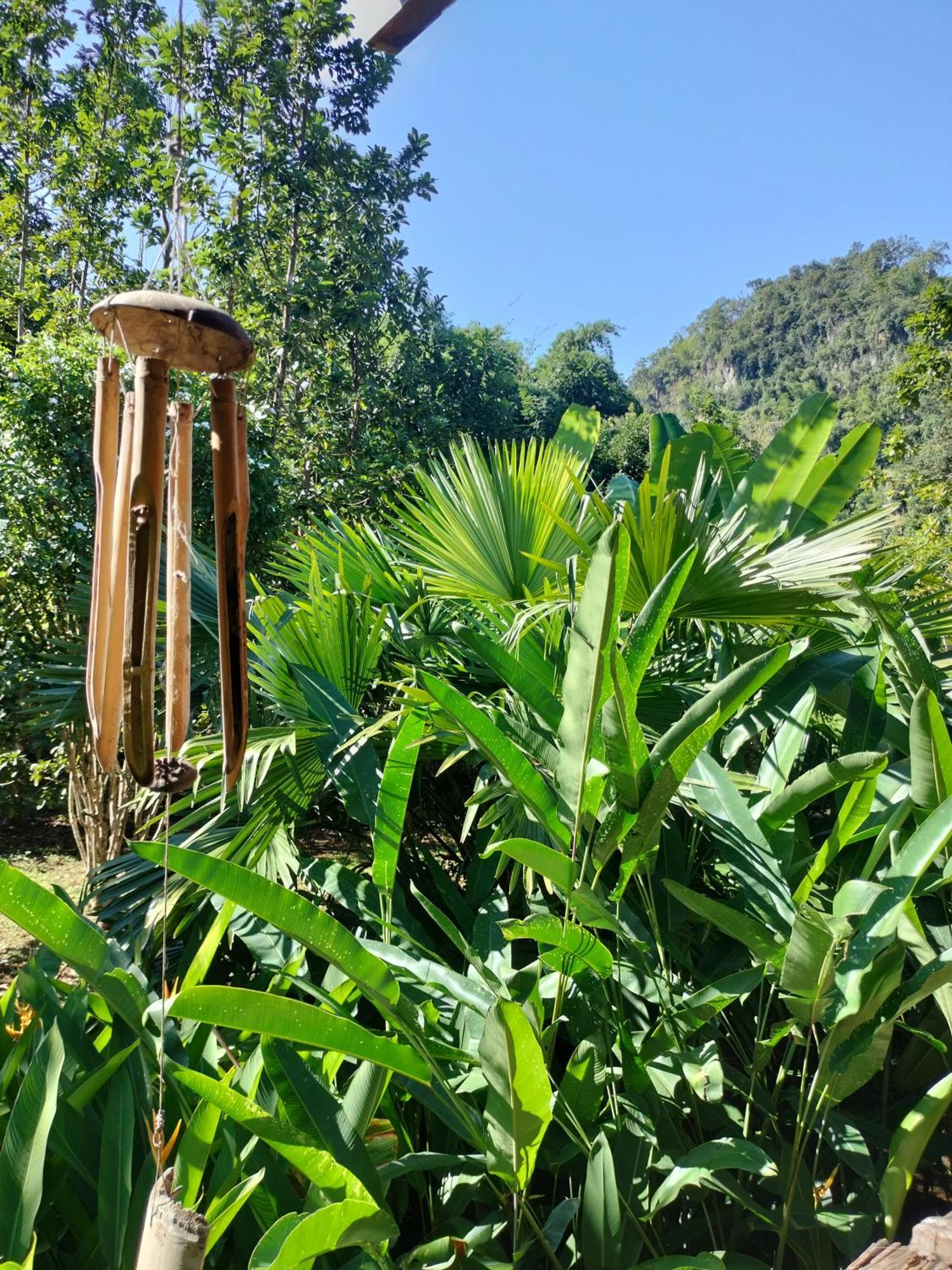 Pencave Homestay Pang Mapha Quarto foto
